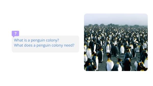 Penguin Colonies in the City Education Presentation — slide 4