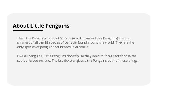 Penguin Colonies in the City Education Presentation — slide 7