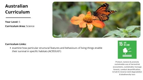 Lifecycles of Bees and Plants Education Presentation — slide 2