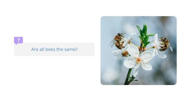 Lifecycles of Bees and Plants Education Presentation — slide 10
