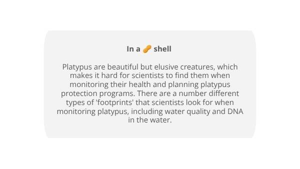 Investigating the Platypus Education Presentation — slide 3