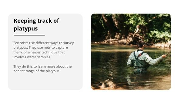Investigating the Platypus Education Presentation — slide 8