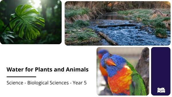 Water for Plants and Animals Education Presentation — slide 1