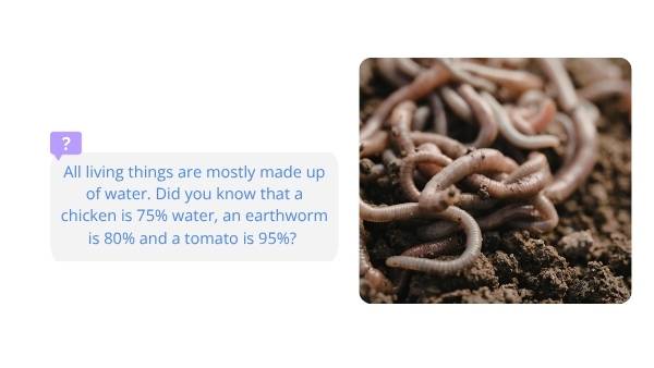 Water for Plants and Animals Education Presentation — slide 4