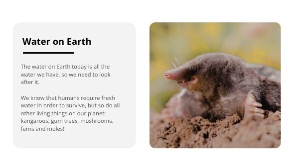 Water for Plants and Animals Education Presentation — slide 6