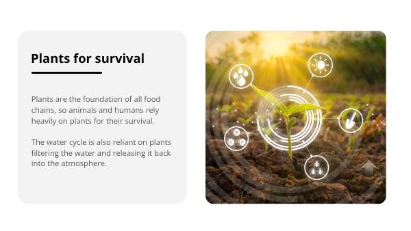 Water for Plants and Animals Education Presentation — slide 8
