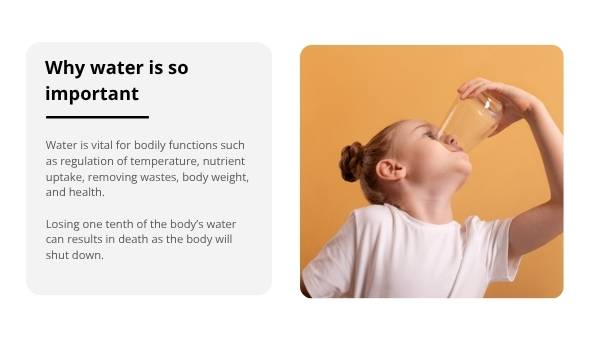 Water for Plants and Animals Education Presentation — slide 9