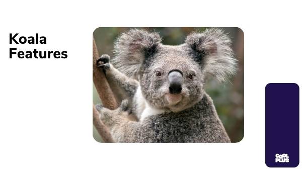 Koala Features Presentation — slide 1