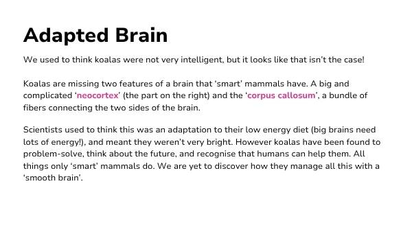 Koala Features Presentation — slide 9