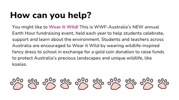 Koala Features Presentation — slide 12