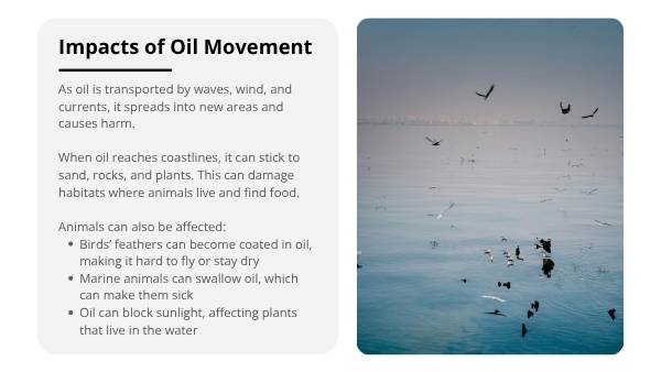 Oil Spills & Earth Change Education Presentation — slide 6