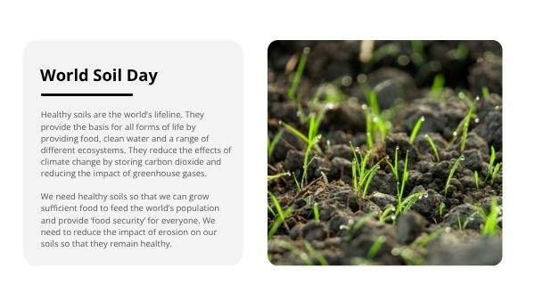 Weathering and Erosion Education Presentation — slide 11