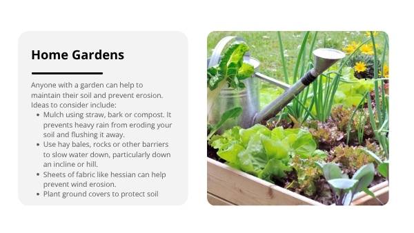 Weathering and Erosion Education Presentation — slide 12