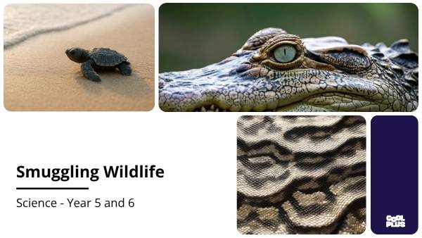 Smuggling Wildlife Education Presentation — slide 1