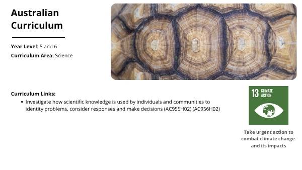 Smuggling Wildlife Education Presentation — slide 2