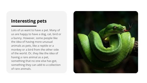 Smuggling Wildlife Education Presentation — slide 3