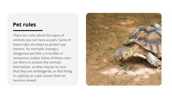 Smuggling Wildlife Education Presentation — slide 4