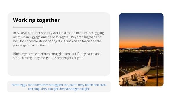 Smuggling Wildlife Education Presentation — slide 8