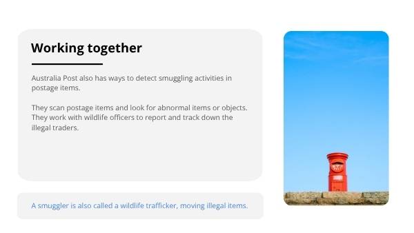 Smuggling Wildlife Education Presentation — slide 9
