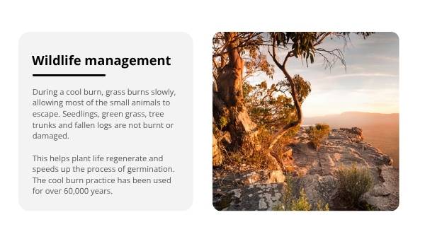 Cool Burning Education Presentation — slide 5