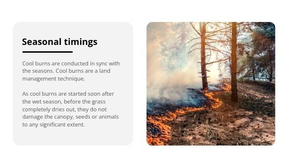 Cool Burning Education Presentation — slide 6