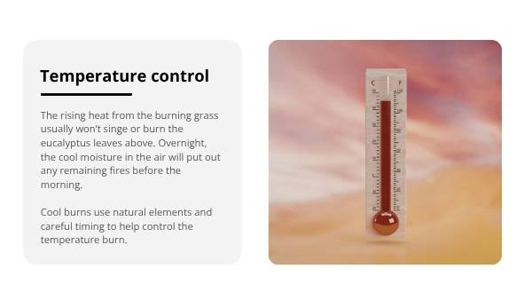 Cool Burning Education Presentation — slide 7