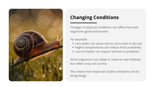 Surviving in Habitats Education Presentation — slide 6