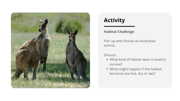 Surviving in Habitats Education Presentation — slide 7
