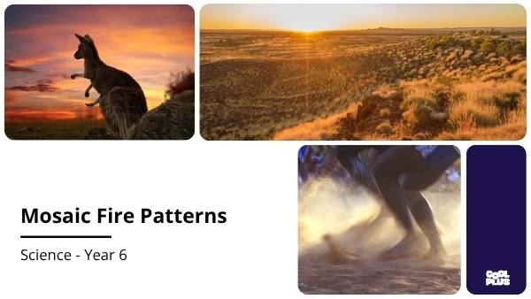 Mosaic Fire Patterns Education Presentation — slide 1