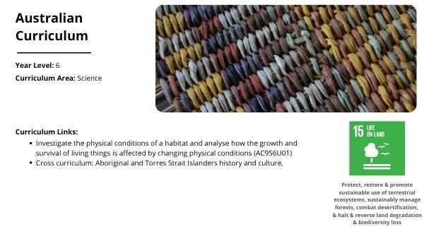 Mosaic Fire Patterns Education Presentation — slide 2
