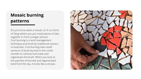 Mosaic Fire Patterns Education Presentation — slide 3