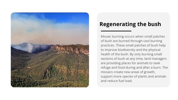 Mosaic Fire Patterns Education Presentation — slide 4