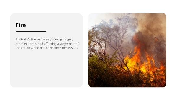 State of the Climate Report 2024 - Survival of Living Things Education Presentation — slide 7