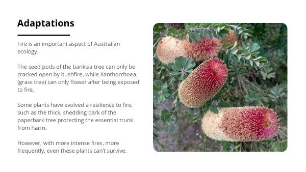 State of the Climate Report 2024 - Survival of Living Things Education Presentation — slide 8