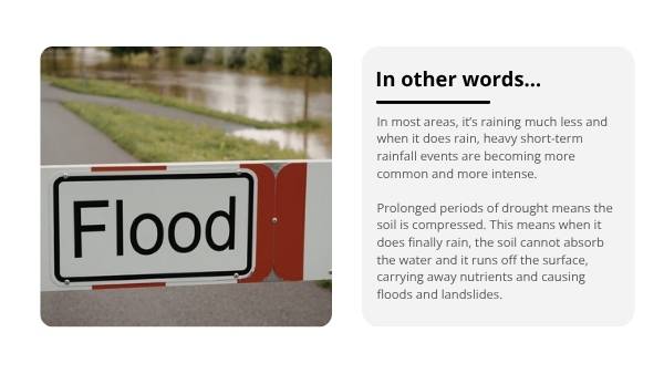 State of the Climate Report 2024 - Survival of Living Things Education Presentation — slide 9