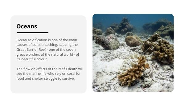 State of the Climate Report 2024 - Survival of Living Things Education Presentation — slide 12