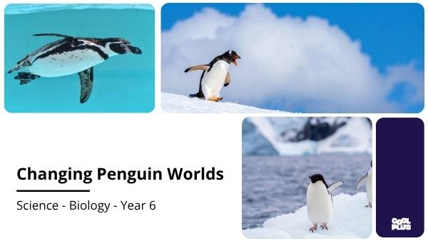 Changing Penguin Worlds Education Presentation — slide 1
