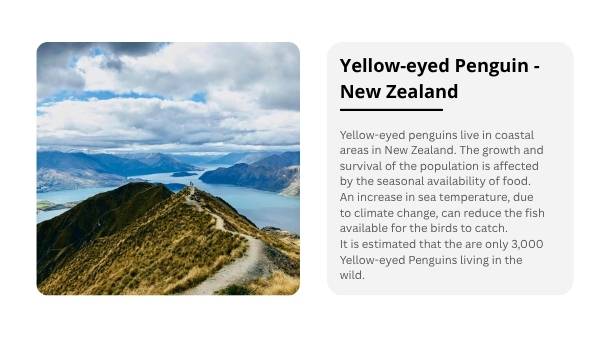 Changing Penguin Worlds Education Presentation — slide 9