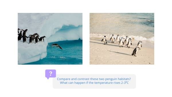Changing Penguin Worlds Education Presentation — slide 10