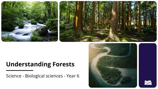 Understanding Forests Education Presentation — slide 1