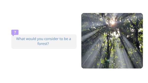 Understanding Forests Education Presentation — slide 3