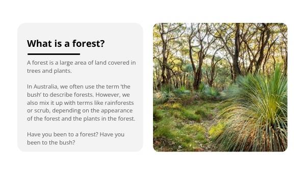 Understanding Forests Education Presentation — slide 4