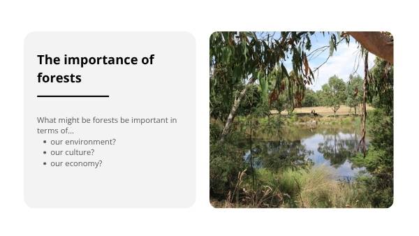 Understanding Forests Education Presentation — slide 5