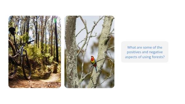 Understanding Forests Education Presentation — slide 6