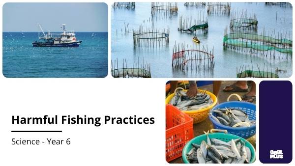 Harmful Fishing Practices Education Presentation — slide 1