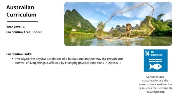 Harmful Fishing Practices Education Presentation — slide 2