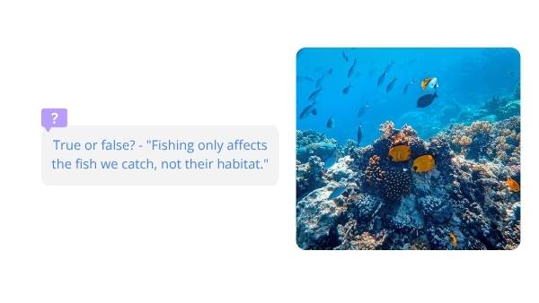 Harmful Fishing Practices Education Presentation — slide 3