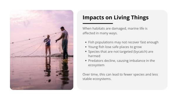 Harmful Fishing Practices Education Presentation — slide 6