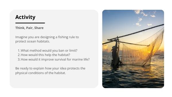 Harmful Fishing Practices Education Presentation — slide 7