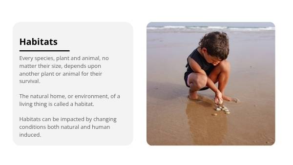 First Nations Peoples - Integral to Country Education Presentation — slide 5